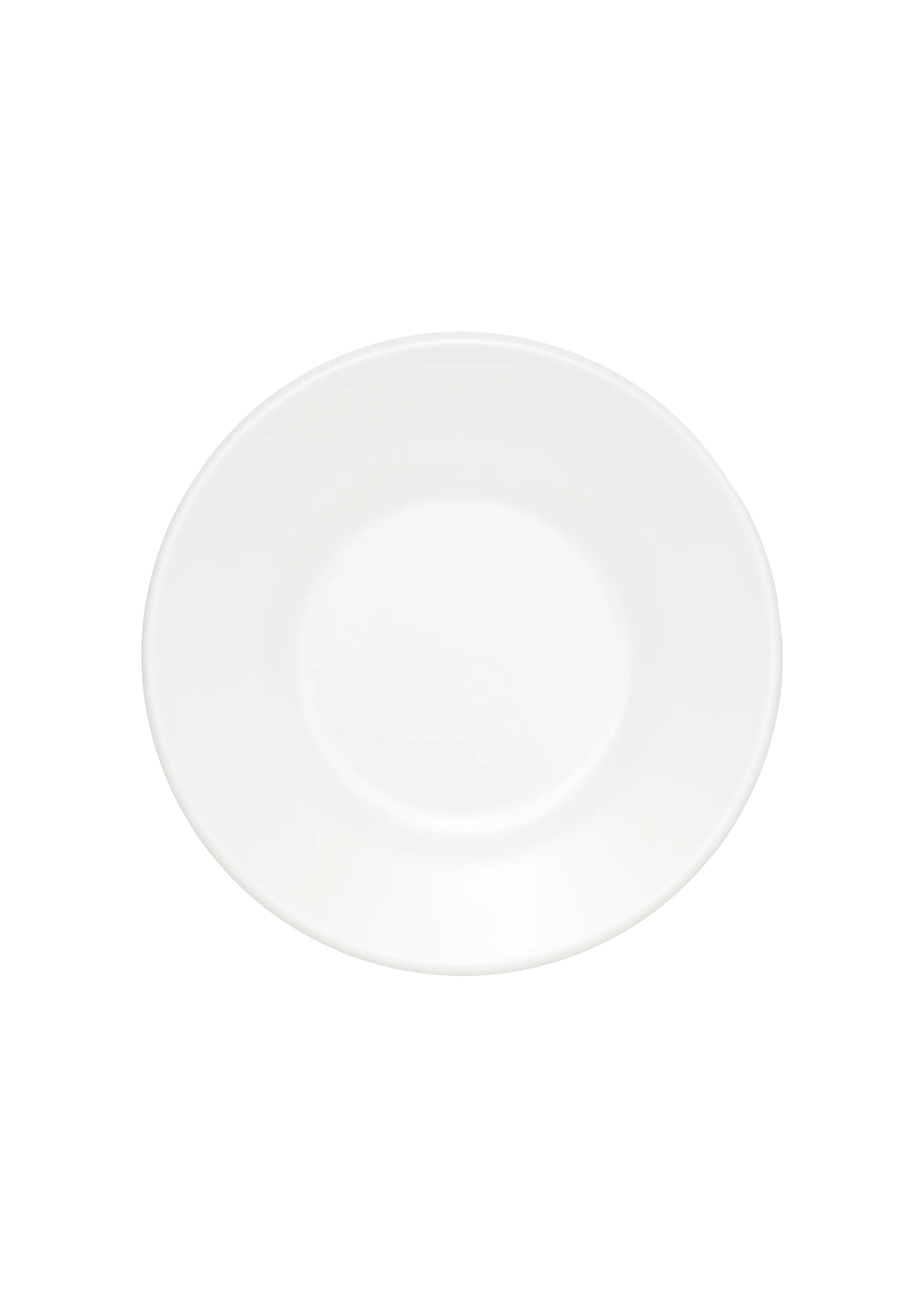 Flat Restaurant Plate / (Series C)