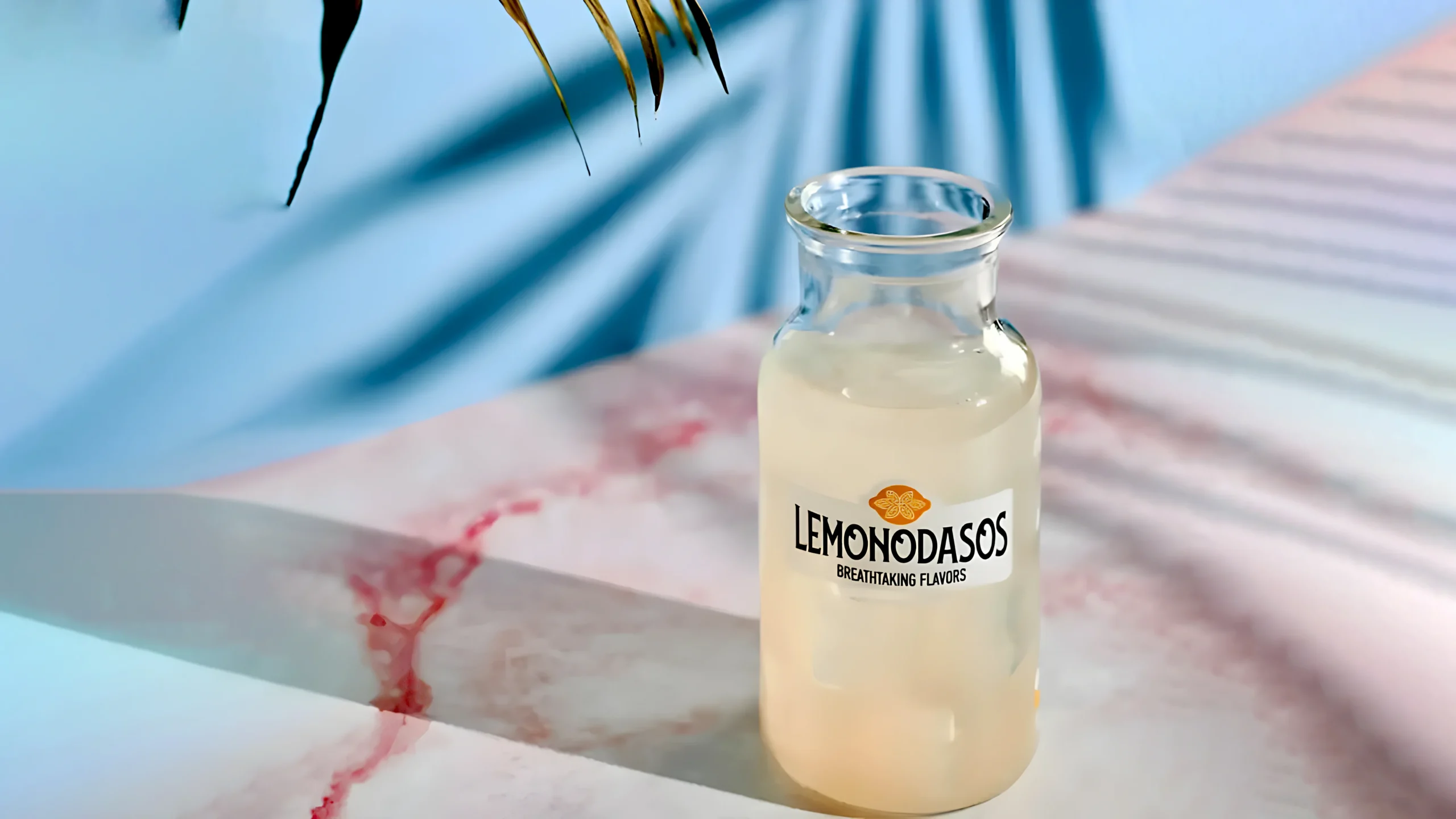 customer-Lemonodasos-image